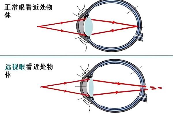 1789885155269211.jpeg WPS图片.jpeg